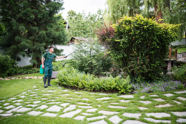 Best Ant Control Services  in Greendale, WI