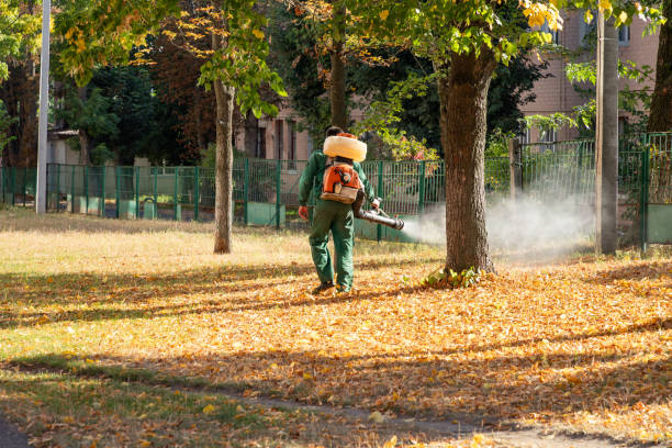 Best Pest Control for Businesses  in Greendale, WI